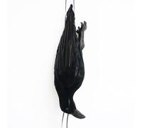 Qyljeiwred Hanging Dead Crow, Realistic Dead Crow Halloween Hanging Decorations, Simulation Birds Figurine For Haunted House Porch Garden