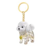 Qylzkvnth Dog Hair Collector Keychain, Compact And Lightweight, 7x5x2cm, Charm Memorial Storage Box, Transparent Pet Hairs Bottle Keychain, Versatile Attachment, For Purse Handbag Tote