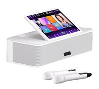 QYOEGSQ 14-inch Capacitive Karaoke Machine,Touch Screen Karaoke System with 2 Wireless Microphones,Portable Media Player,Power Amplifier Function, AI Smart Voice Control the Song Function(White,2TB)