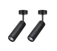 QYRKYP Spotlight Led Spotlights 2 Pack Living Room Adjustable Ceiling Light, Surface Mounted Accent Spot Lighting Indoor, Adjustable Directional Spot Lights for Living Room Bedroom Gallery/4000K-5W