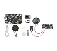 Qyrugcxs Recordable Sound Module with MP3 Download TYPE-C for Gift Box Christmas Birthday Card Music Cover Wall B