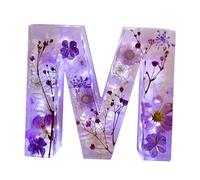 Qyuhbkkl Resin Flower Night Light Lamp | Creativity Floral Resin Night Lights Alphabet,Pressed Flower Resin Letters Light Flower Night Light Resin Alphabet, Handmade Letter Lamps