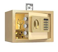 QYYZTQY Box， Digital Security Safe Box，Double Safety Key Lock and Password，Own Interior Iocking Box/Gold/a