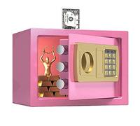 QYYZTQY Box， Digital Security Safe Box，Double Safety Key Lock and Password，Own Interior Iocking Box/Pink/a