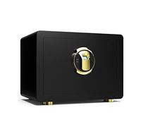 QYYZTQY Cabinet Safes Home Safes Home Safe Safe 35x25x25 cm with 3 Double Steel Bolts with Fingerprint Safety Cabinet 2 Emergency Priority Buttons for Valuables and Documents Black