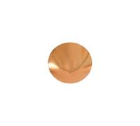 QYYZTQY Gold Plated Beaded s for Women Dainty Circle Coin Star Drop Cute Tassel Choker Chain Trendy Stainless Steel Jewelry