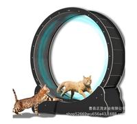QYYZTQY Large Home Use Roller Silent Exercise Running Wheel Climbing Frame Pet Wooden Treadmill Cat Wheels(Black)