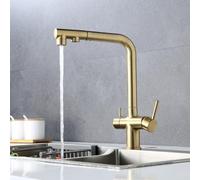 QYYZTQY Pull-Out Kitchen hot and Cold Washing Basin Sink Three-in-one Faucet, Seven-Character Dual-Control Water Purification (Brushed Gold)