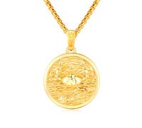 QYYZTQY Sterling Silver 12 Constellation Coin Pendant s Horoscope Astrology Embossed Jewelry Birthday Gift for Women Men