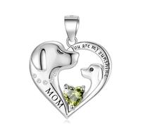QYYZTQY Sterling Silver You Are My Sunshine Mom Heart Dog Necklace Chain 12 Birthstone For Women Jewelry