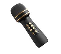 Qzdtue Multifunctional Kids Microphone, Cordless Handheld Microphone, Easy to Use Karaoke Mic, Lightweight Rechargeable Microphone, 5cm/1,96in X 20cm/ 7.87in for Kids Adults Pink, Red, Blue, Black