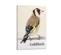 QZFNCOYU Goldfinch Bird Art Poster Canvas Poster Wall Art Decor Print Picture Paintings for Living Room Bedroom Decoration 08x12inch(20x30cm)