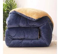 QZHXZX Down Duvet Double， winter Warm Lamb Velvet Core thick Warm Plush - Plus Velvet Core Quilt Winter Quilt with 100% Cotton Down proof Fabric needed