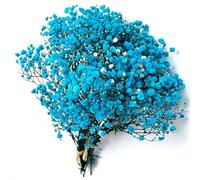 QZKJQDD Blue Dried Gypsophila Flowers, Dried Flowers for Crafts, Dried Pressed Baby's Breath Flowers, for Resin Art Craft DIY Making Wedding Card Home Party Decor