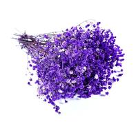 QZKJQDD Purple Dried Gypsophila Flowers, Dried Flowers for Crafts, Dried Pressed Baby's Breath Flowers, for Resin Art Craft DIY Making Wedding Card Home Party Decor
