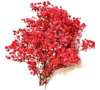 QZKJQDD Red Dried Gypsophila Flowers, Dried Flowers for Crafts, Dried Pressed Baby's Breath Flowers, for Resin Art Craft DIY Making Wedding Card Home Party Decor