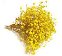 QZKJQDD Yellow Dried Gypsophila Flowers, Dried Flowers for Crafts, Dried Pressed Baby's Breath Flowers, for Resin Art Craft DIY Making Wedding Card Home Party Decor