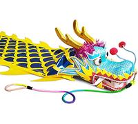 QZLNONTK Dragon Dance Ribbon Poi, Ribbon Streamer Gold Dragon Spiral Practice Ribbon Streamer Blue Yellow Dragon Dance Ribbon/Streamer for Park Lawn Outdoor Park(10m/33ft lenght)