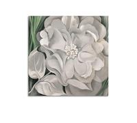 QZXV The White Calico Flower - by Georgia O'Keeffe Painting Art Posters Poster Canvas Wall Art Decor Living Room Modern Family Bedroom 24x24inch(60x60cm) Unframe-style