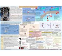 R-44 (Robinson 44) Helicopter Pilot Training Study Guide (Poster, Size 27 x 19 In)