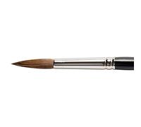 R/Brush Series 8404 Size 10