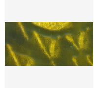 R&F : 40ml (Small Cake) : Encaustic (Wax Paint) : Green Gold (114C)