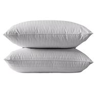 R&G Shredded Memory Foam Stripe Pillows Pack of 2, Hypoallergenic Bed Pillows for Neck Pain Non-allergenic & Anti dust mite Pillow - Size 48x74cm