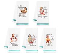 R HORSE 5Pcs Kitchen Dish Towel Funny Joked Themed Kitchen Dishcloth Absorbent Retro Sassy Lady Cleaning Dishcloth Bar Hilarious Hand Towel Gift for Hostess Mom Women Housewarming