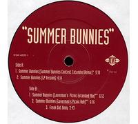 R Kelly & Public Announcement - Summer Bunnies [VINYL]