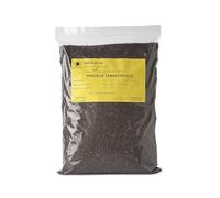 R&R SHOP - Phacelia Seeds, Phacelia Tanacetifolia, Rapid Flowering, Nectar-Rich for Bees and Butterflies, Ideal for Lawns and Gardens (500 g - 300 m²)