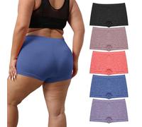 R RUXIA Women's Boyshort Panties Plus Size Boyshorts Underwear for Women Stretch Boxer Briefs 5 Pack, Pdh-2, 3XL