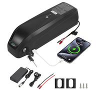 R TEAM Ebike Battery 48v 15AH with Charger, USB Port, Lithium Electric Bike Battery for 1000W 750W 500W 250W Motor (Bafang, AW, most ebike conversion kit)