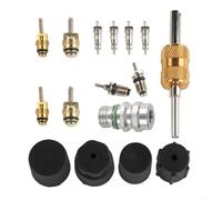 R12 and For R134a Air Conditioning Valve Core Kit Including Double Headed Remover Tool and Valve Stem Cores for AC System Repair