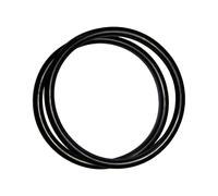 R172009 O-Ring For Pentair Model 320/322 Pool and Spa Chlorinator Lid (2/ Pack)