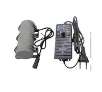 R3650 DC 12V24V Small Vibration Motor Speed Regulation Alarm System Massage Table Chair Motor Equipment(EU_12V)