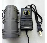 R3650 DC 12V24V Small Vibration Motor Speed Regulation Alarm System Massage Table Chair Motor Equipment 1Pcs(US,24V)