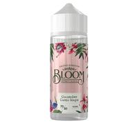R3LOADED Bloom Flavoured Liquid Bottle, Flavour Blend, Large Capacity Refillable Bottle, 70% VG / 30% PG, Smooth Taste, Everyday Use, 0mg No Nicotine,100ml, Pack of 1 ( Cucumber Canta-loupe)