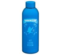 RA-HOMESTORE® New Metal Harry Potter Water Bottle, Ravenclaw, Perfect for Hot or Cold Drinks
