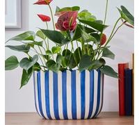 RA-HOMESTORE® New Scalloped Blue Plant Pot, Crafted With Skill from Ceramic Material, To Elevate the Charm of Any Room It is Placed, Boasting A Scalloped Infrastructure and Striped Design.