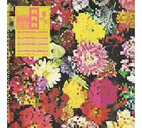 Ra Ra Riot – Superbloom – CD – US Import