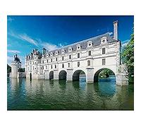 Ra-smit Panorama Chateau Chenonceau France Photo Unframed Wall Art Print Poster Home Decor Premium