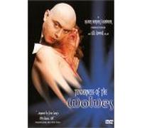 Raab - Tenderness of the Wolves [DVD] [1973] [US Import] [NTSC]