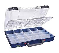 raaco CarryLite 55 5x10-25/DL: Lightweight Sorting Box for Workshop, with 25 Inserts for Small Parts, Load Capacity 10 kg, Safe Storage, Transparent Sandwich Lid, 33 x 41.3 x 5.8 cm