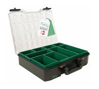 raaco CarryLite 80 4x8-9 Premium Screw Organiser with 9 Compartments | 10 kg Load Capacity | Nut and Bolt Secure Storage | Transparent Lid | Small Parts Tool Box Case Storage | 27.8 × 33.7 × 7.9 cm