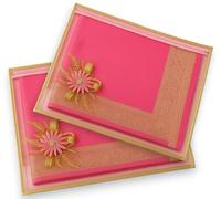 RAAHII 5 Piece Wedding Gifting Transparent single saree cover with zip, suit packing plastic covers for sadi, duppata, clothes bags, lehenga, kurti for marriage Gift wardrobe storage organizer (Pink)