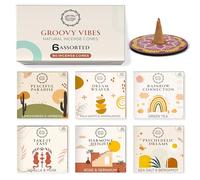 Raajsee Incense Cones, 6 Pack Groovy Vibies Cone Scents Gift Pack 15 pc Each (90 Total), Insence Cones Variety Pack, 100% Organic Non Toxic Natural - Hand Rolled Free from Chemicals,Holder Included