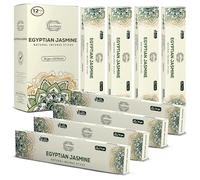 Raajsee Jasmine Incense Sticks 12 Pack Set 15gm Each, -100% Organic Hand Rolled- Perfect for Church,Aromatherapy,Relaxation Meditation (Jasmine)
