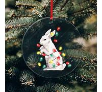 Rabbit Acrylic Christmas Ornament String Light Acrylic Keepsake Winter Christmas 3 Inch With Hole Ornament Gift Keepsake Ornament to Remember This Holiday And Season Housewarming Gift