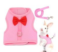 Rabbit Adventure Harness, Kitten Harness Set, Rabbit Running Lead, Rabbit Chest Harness, Leash Rabbit Leash, Small Animal, Chest Harness, Kaaninch Vest, Easy to Carry