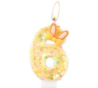 Rabbit Birthday Candles,Bunny 6th Birthday Candle, Orange Number 6 Candles for Cake, Girls Boys 6th Birthday Decorations,Rabbit Themed Birthday Party Decorations,Rabbit Easter Party Decoration